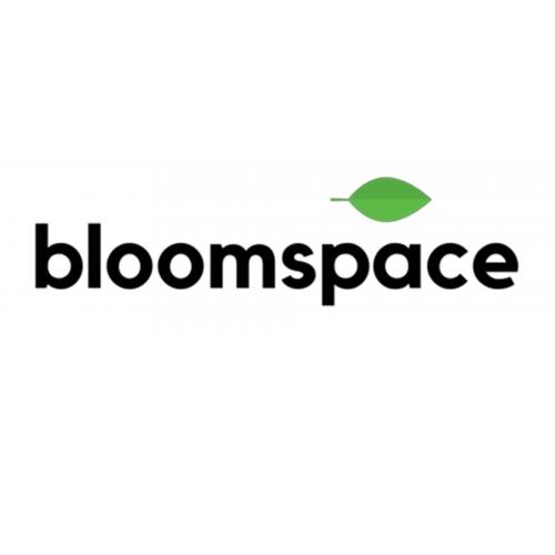 Bloomspace Pty Ltd